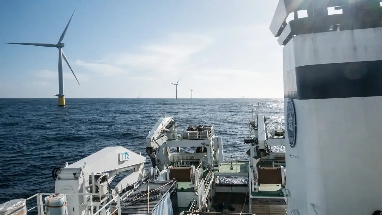 Read more about the article Too little known about interactions between wind energy and fisheries