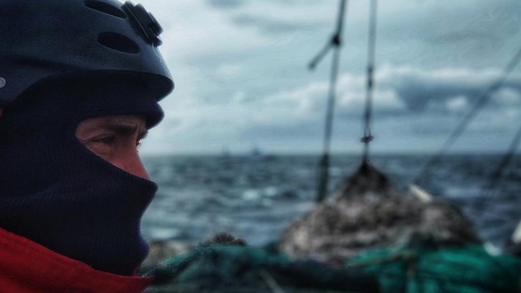 Read more about the article Observers at sea need protection