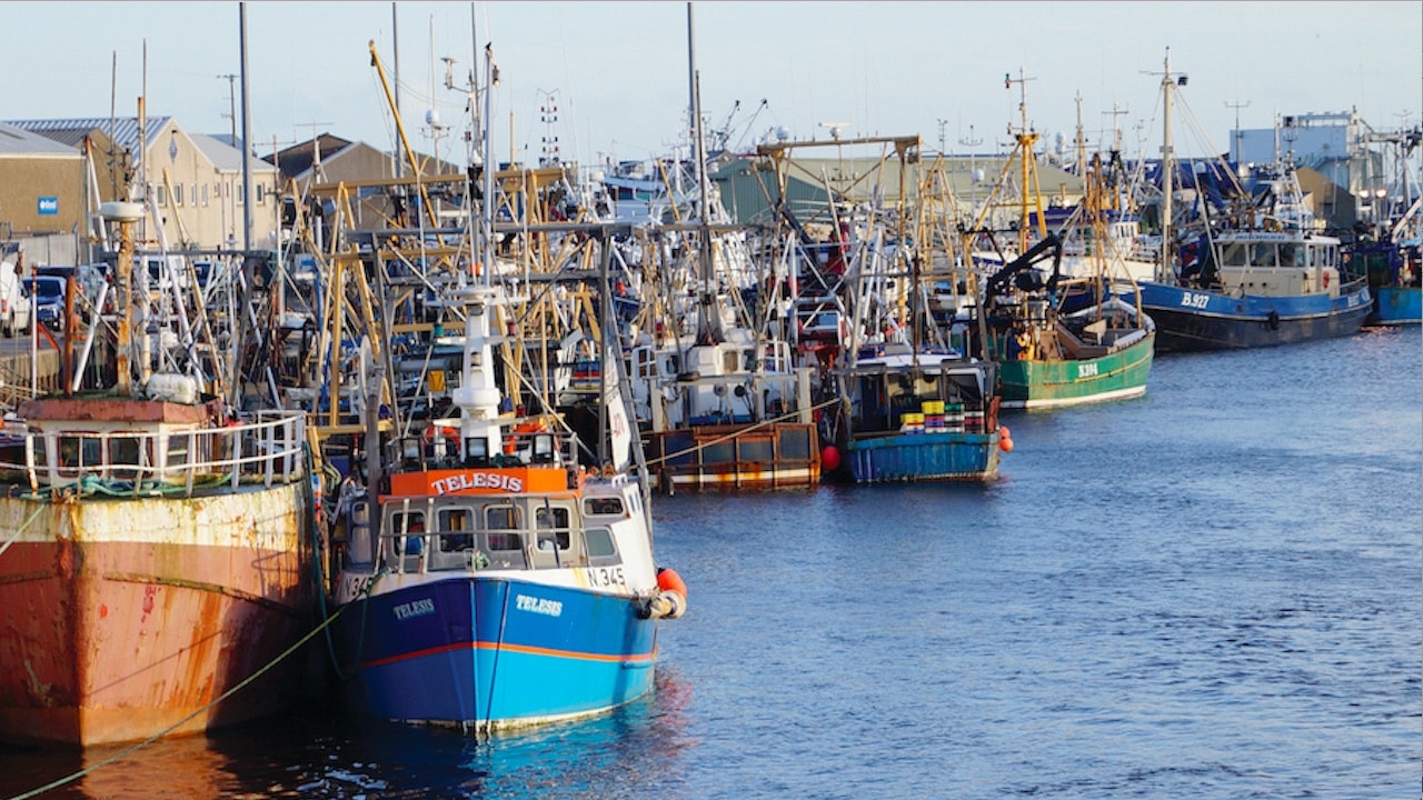 Read more about the article Anglo-North Irish Fisheries Human Rights Audits & Response published