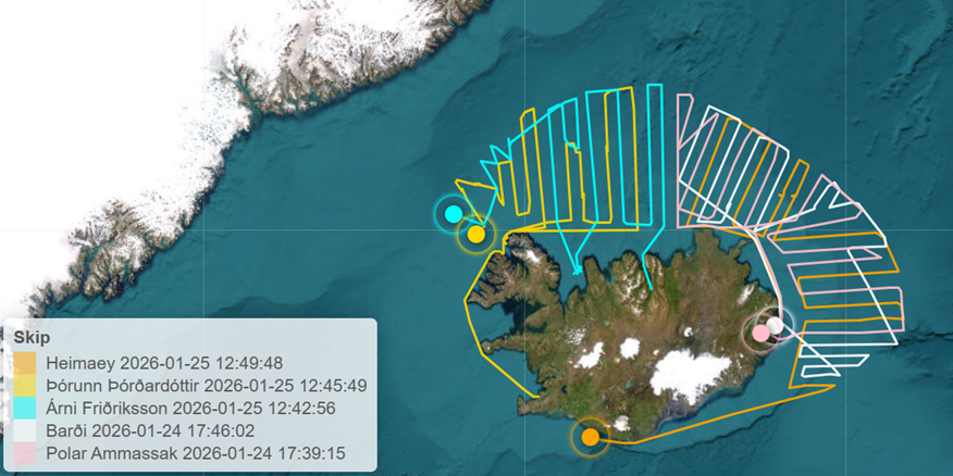 Read more about the article Capelin season recommendation due this week