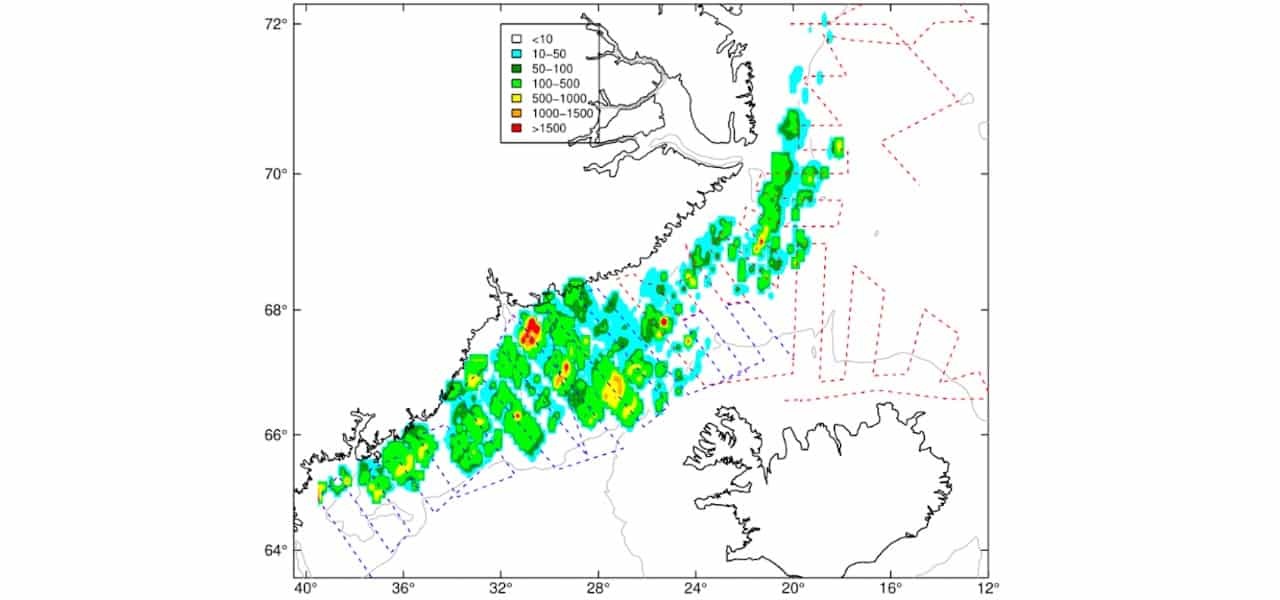 Read more about the article Zero capelin quota advised for Iceland
