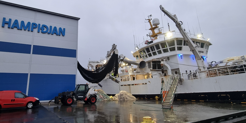 Read more about the article Gearing up for capelin