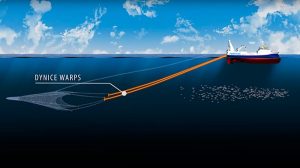 Power Warps incorporate energy and data transfer possibilities - @ Fiskerforum