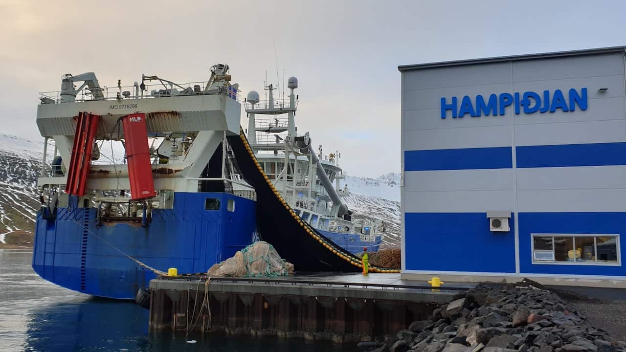 Read more about the article Hampiðjan’s new environmental director