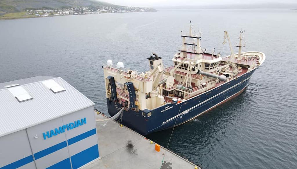 Read more about the article Iceland’s pelagic fleet starts the year on blue whiting