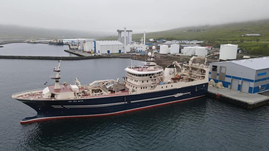 Read more about the article Icelandic fleet ready for mackerel season