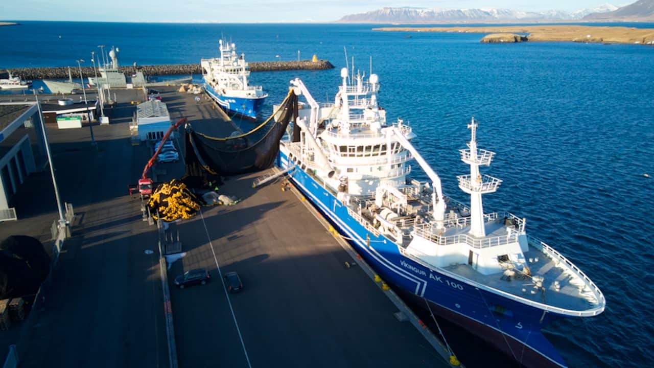 Read more about the article Iceland’s capelin season gets underway