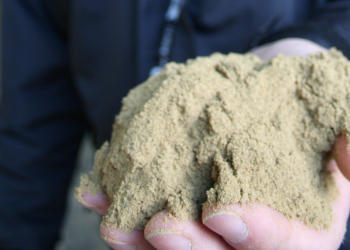 Weak fishmeal and fish oil output