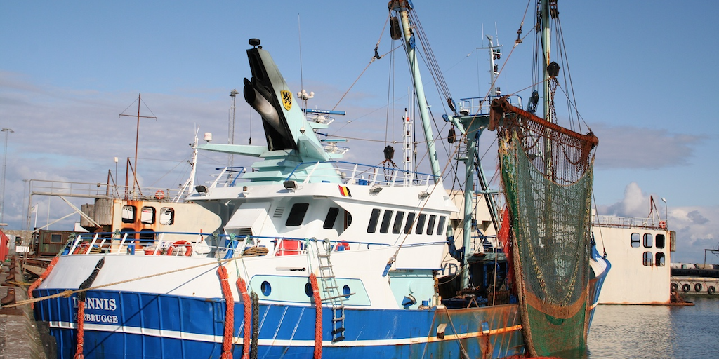 Read more about the article Beamers off Danish reefs