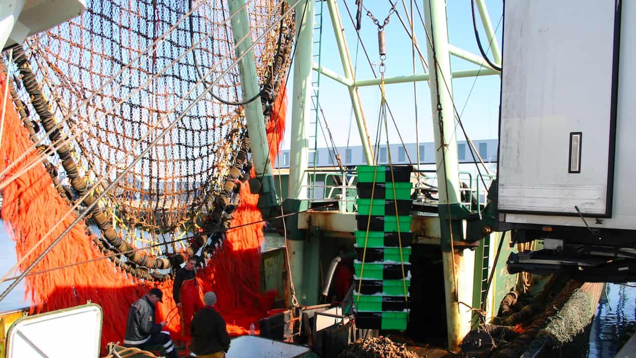 Read more about the article Agreement limits Skagerrak beamer fleet