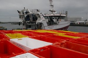 Both Dutch-flagged and UK-flagged fishing vessels will be affected by a No Deal Brexit - @ Fiskerforum