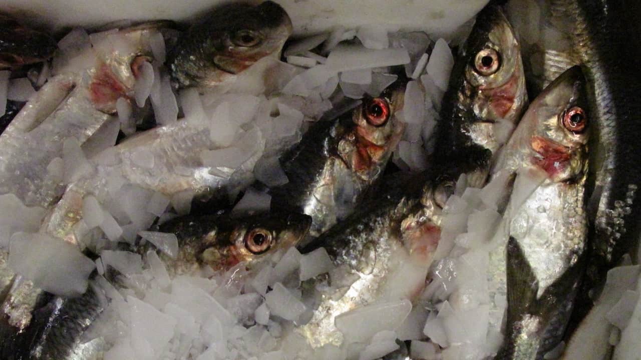 Read more about the article NAPA’s challenge to ministers