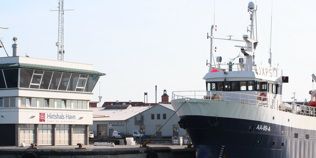 Read more about the article Port of Hirtshals continues to break its own records
