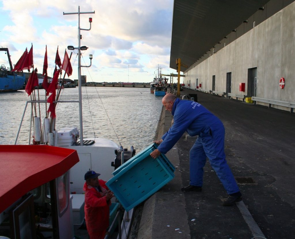 Hirtshals Is Denmark's Top Landing Port - FiskerForum