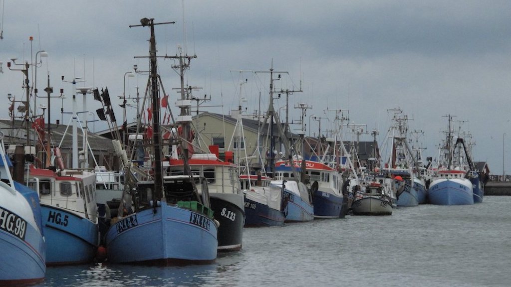 Read more about the article Supporting sustainable development of Danish fishing and aquaculture