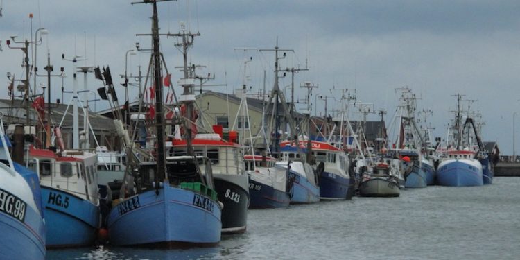 The Danish Fishermen’s Association is deeply dissatisfied with the deal struck in Parliament on quota management - @ Fiskerforum