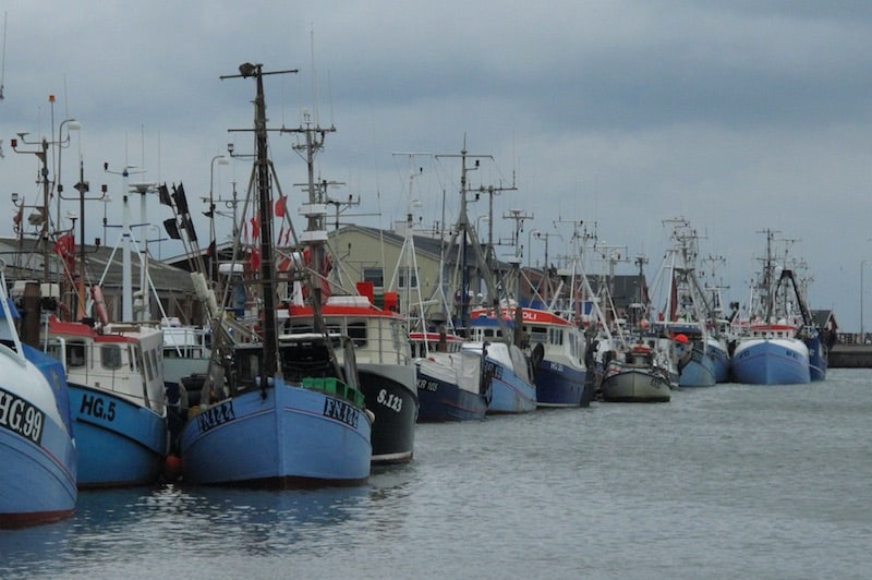 Read more about the article Disappointment for Danish fishermen over quota terms