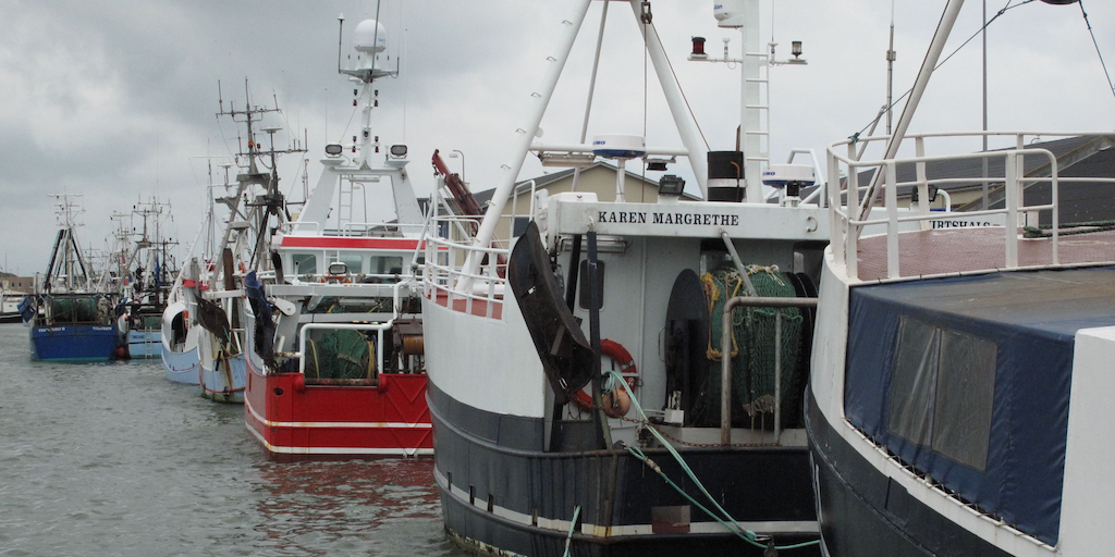 Read more about the article Global Seafood Communicators appoint new chair