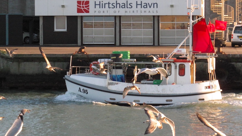 Read more about the article Record turnover at Port of Hirtshals