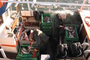 Fishermen could find themselves required to both discard and retain fish under conflicting rules - @ Fiskerforum