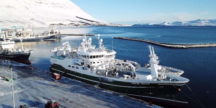 Norwegian and Icelandic pelagic vessels alongside in Norðfjörður. Image: SVN/Petter Geir Smådal - @ Fiskerforum