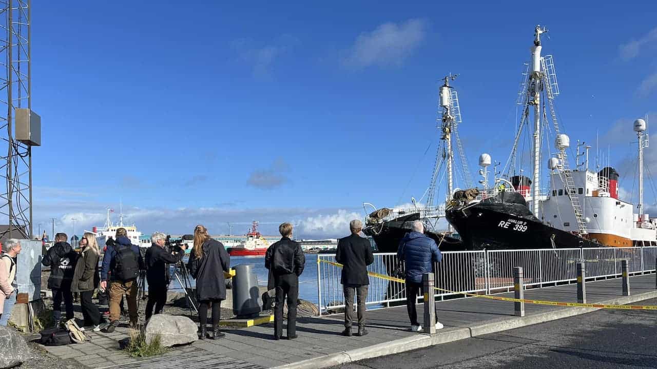 Read more about the article Protestors delay whaling before it starts