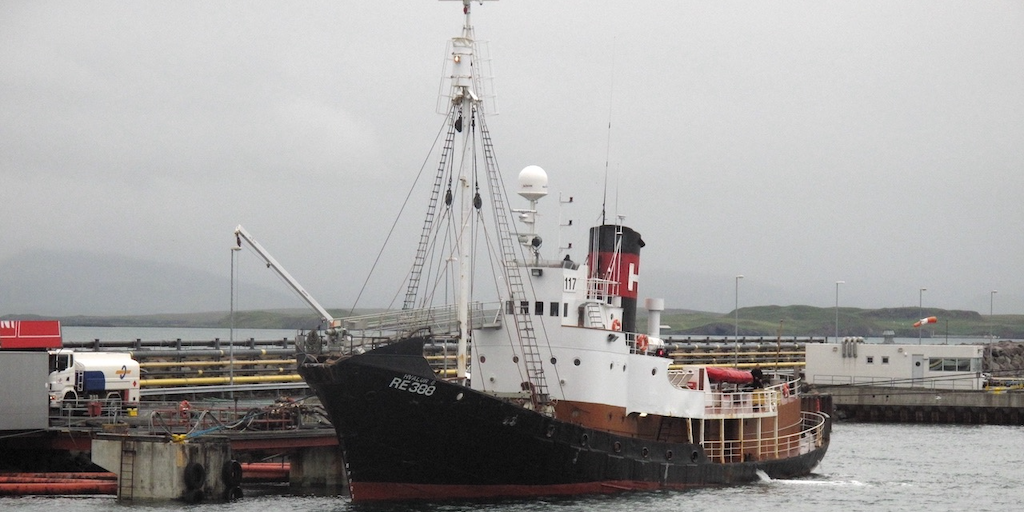 Read more about the article Whalers land first catches of controversial new season