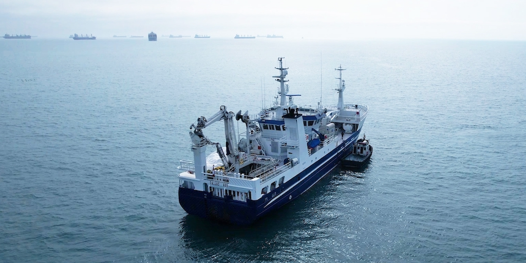 Read more about the article Fishmeal down, fish oil shows more resilience