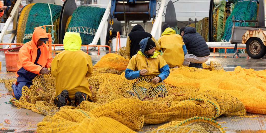 Read more about the article Irish fishing faces catastrophic 2026