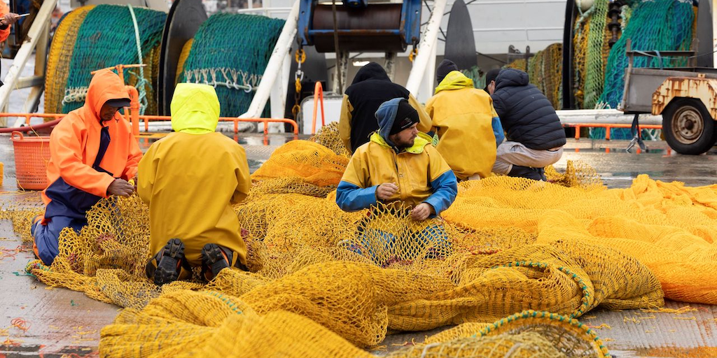 Read more about the article Irish industry urges MEPs to act as fisheries crisis looms