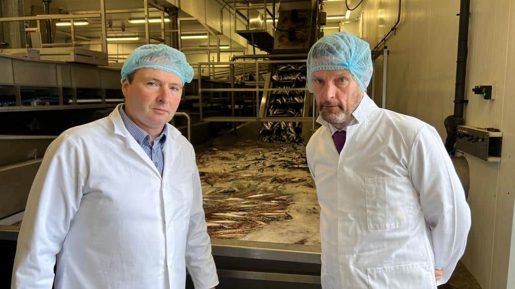 Read more about the article Demanding Ireland’s fair share