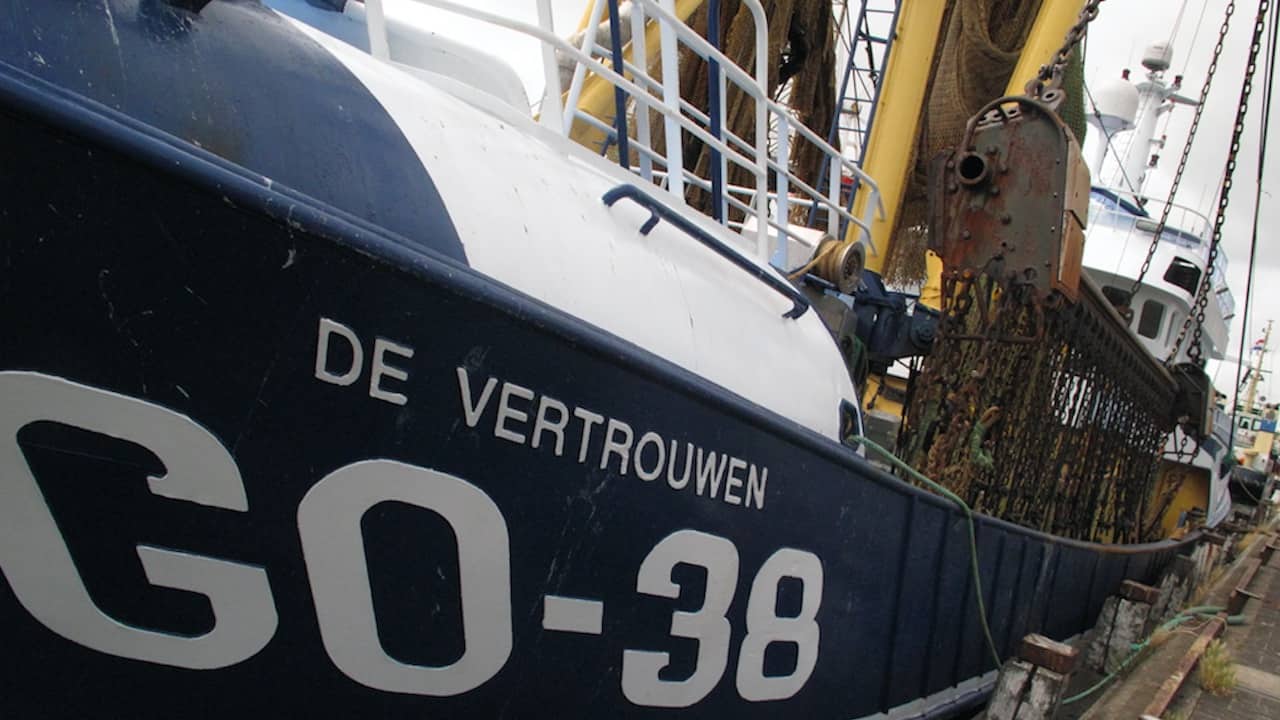 Read more about the article Divorce is painful, says Dutch industry federation