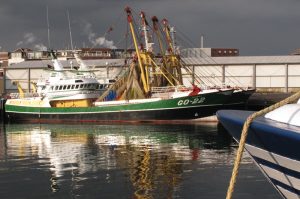VisNed has hit back at the allegations made by NGOs about pulse trawling - @ Fiskerforum