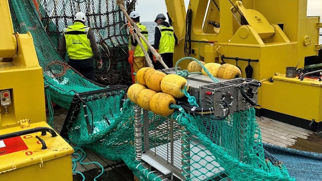 Read more about the article Using AI to revolutionise beam trawling