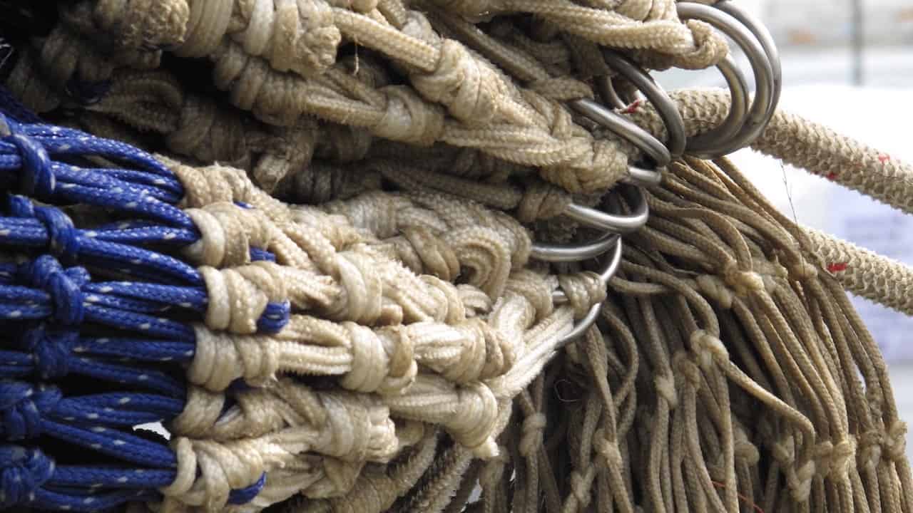 Read more about the article Shrinkage in fisheries has far-reaching effects