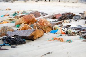 Plastic waste is widespread in the Barents Sea according to Russian and Norwegian researchers. Image: IMR - @ Fiskerforum