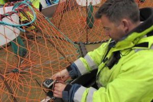 Norway’s Institute of Marine Research has been testing lights to catch snow crab - @ Fiskerforum