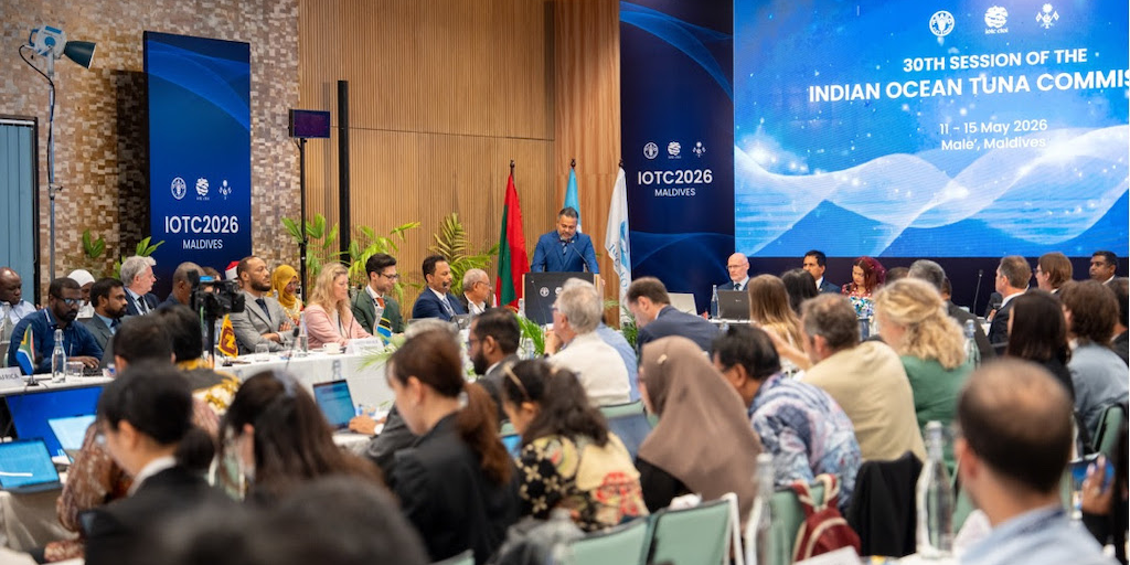 Read more about the article IOTC first with TACs and quotas for all three tuna stocks