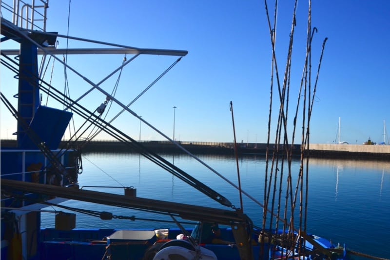 Read more about the article Canary Islands one-by-one tuna fishermen join IPNLF