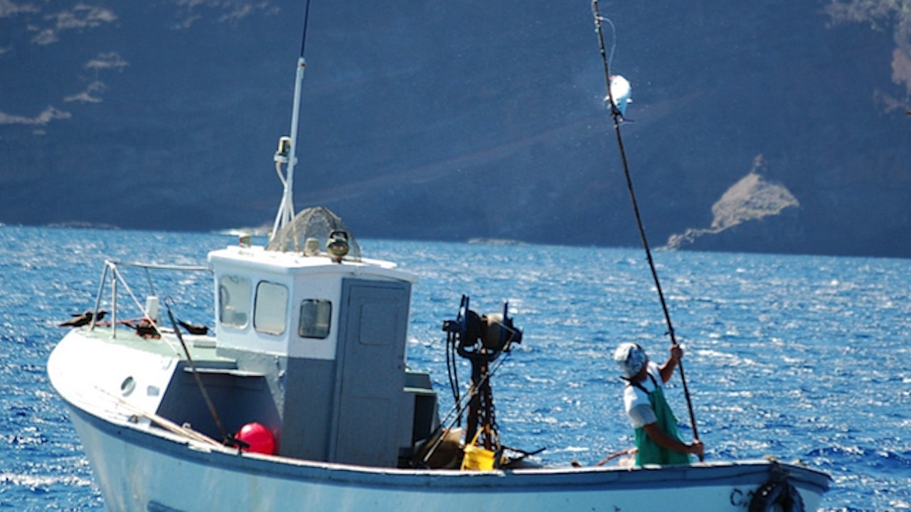 Read more about the article St Helena’s Blue Belt tuna tagging programme
