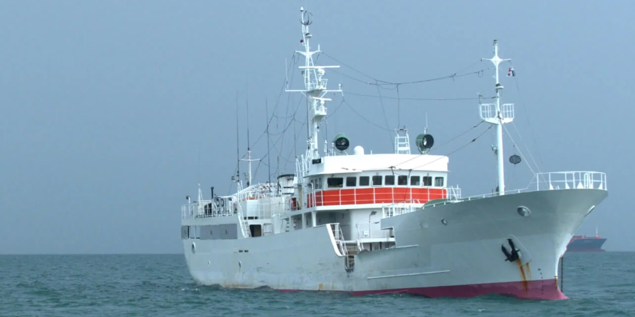 Read more about the article First snapshot of tuna longline fleets