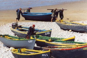 The Court of Justice of the European Union has ruled that Western Sahara waters are not part of the Moroccan fishing zone - @ Fiskerforum