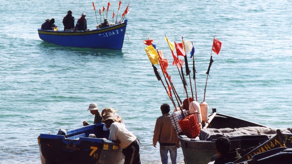 Read more about the article African artisanal fishermen want greater transparency in EU fisheries agreements