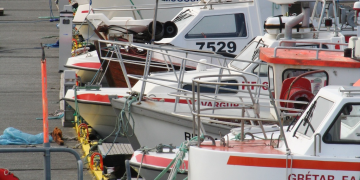 Extra cod for Iceland’s coastal fishery