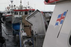 Small boat operators depend entirely on a good price for cod