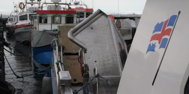 Small boat operators depend entirely on a good price for cod