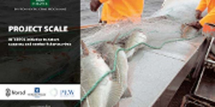 Interpol joins the fight against illegal fishing.  Photo: Interpos - EU Commission - @ Fiskerforum