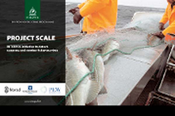 Read more about the article Interpol joins the fight against illegal fishing