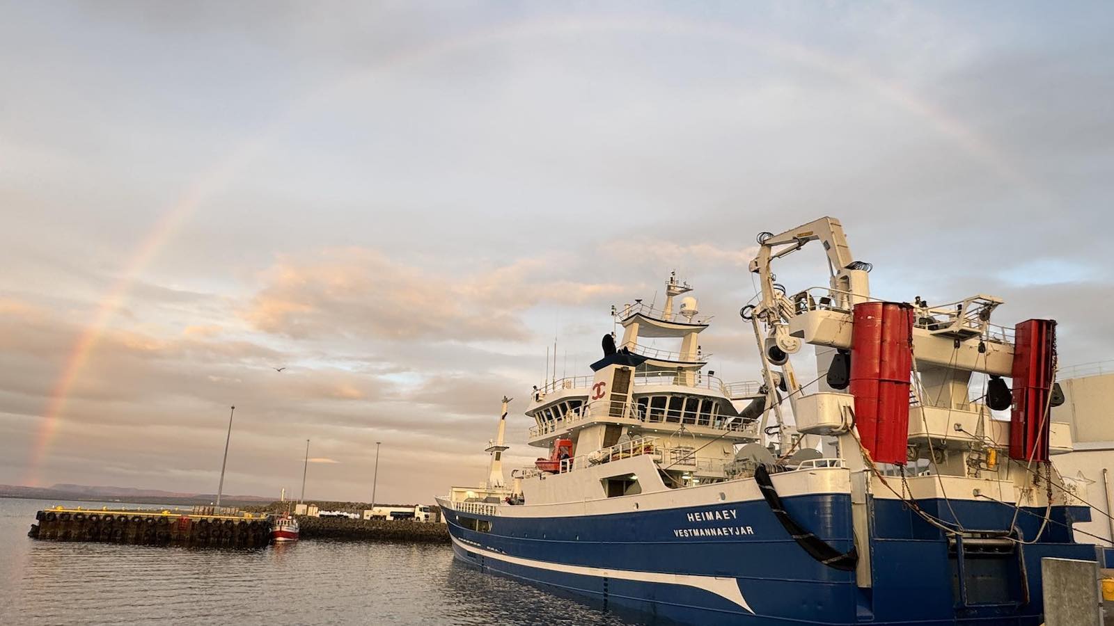 Read more about the article Record mackerel season ends for Westman Islands company