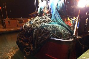 Jennah D's trawl full of discarded seine rope - @ Fiskerforum